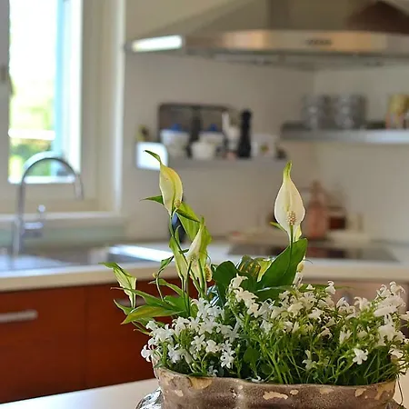 Holiday home Holiday Sverko Novigrad (Istria)