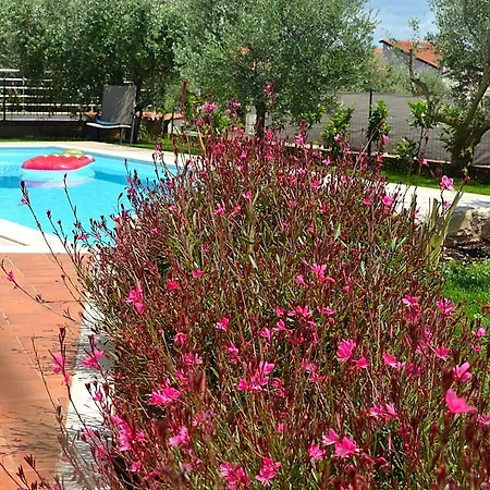 בית נופש Sverko Novigrad Istria